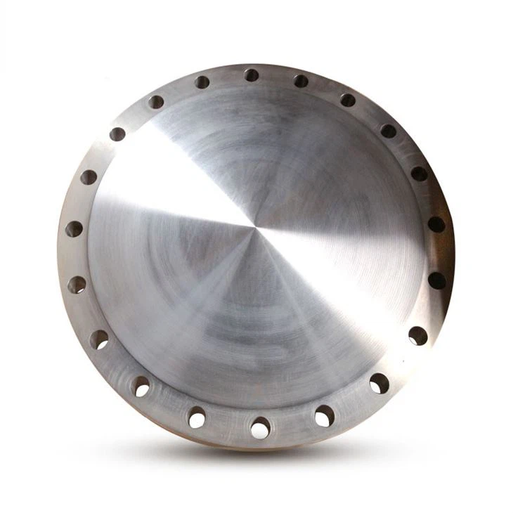 ANSI B16.5 Titanium Blind Flange