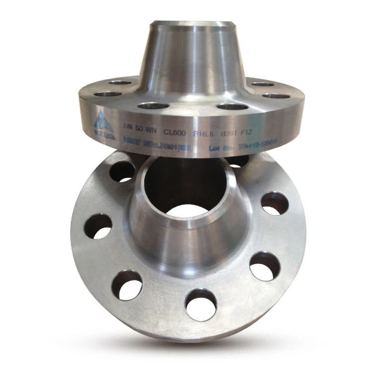 EN1092-1 Titanium Flange
