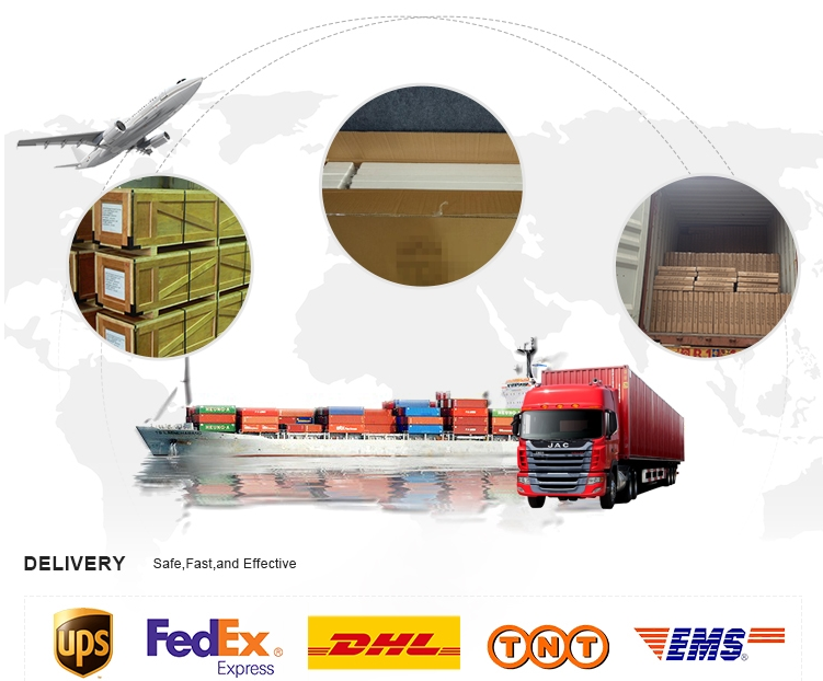 202110191454112962704