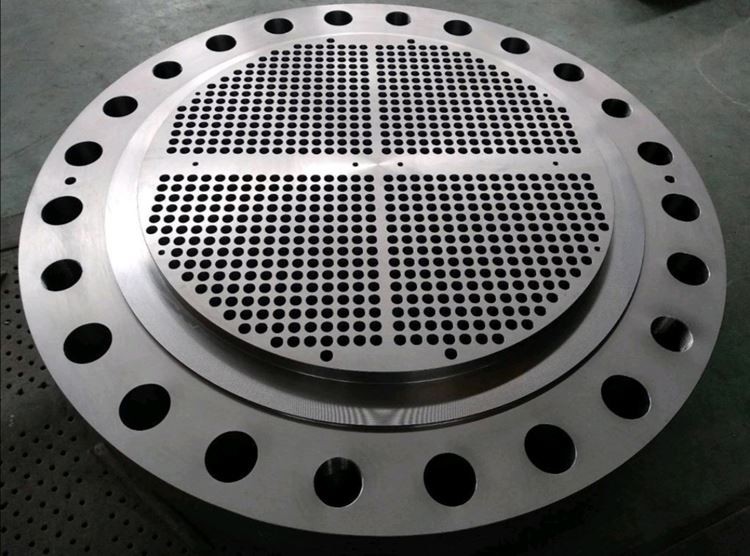 Titanium tube sheet (10)