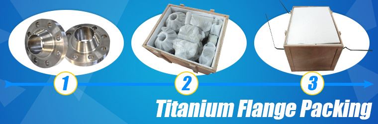 ASME Titanium Flanges