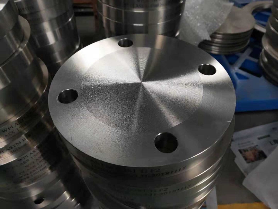 titanium blind flange 25