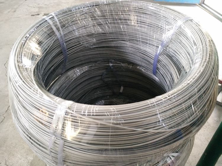 Titanium coil wire